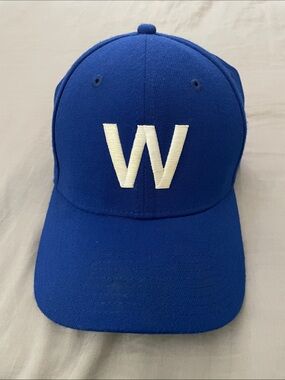 Chicago Cubs 'W' Hat